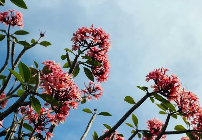 Tijdelijke sfeerfoto — wordt vervangen door een persoonlijke foto